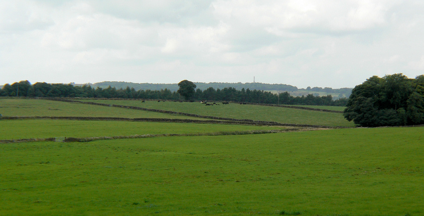 Stanton Moor Plantation Stanton Moor Plantation